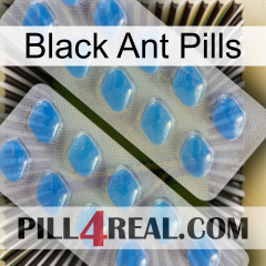 Black Ant Pills 23